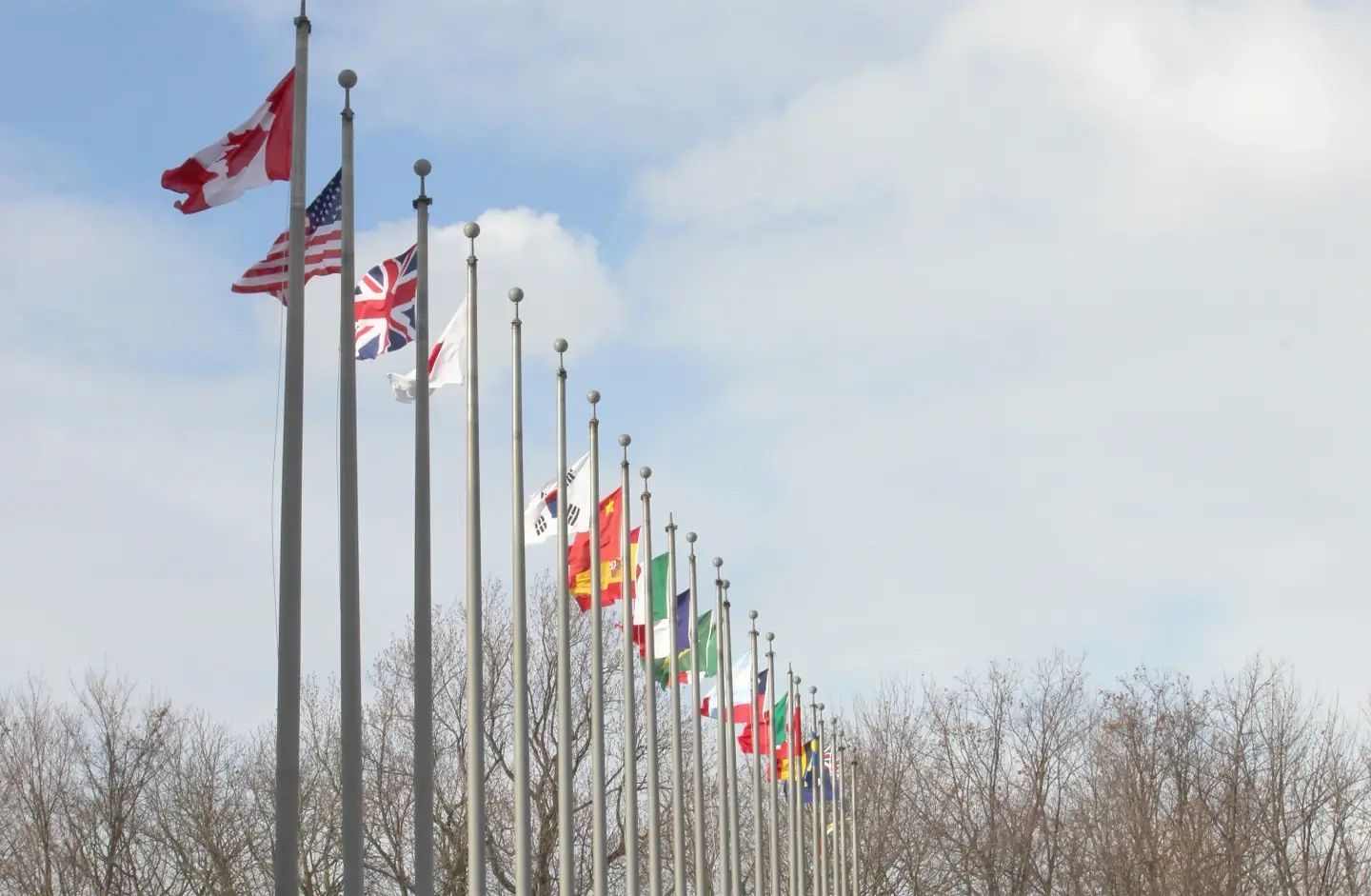 Flags of different countries.