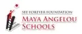 Temporary Science Teacher at Maya Angelou Academy - August 24 to March 25