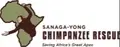 Co-Manager for Chimpanzee Sanctuary in Cameroon